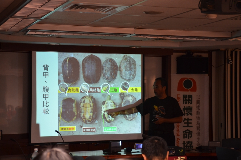 扎根教育：台灣食蛇龜大浩劫