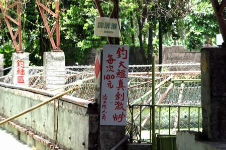 鼓勵民眾以不洽當的方式接近動物,美其名為就近觀察,但是衍生的教育問題及對民眾的影響堪憂,動物體驗過程中容易造成動物受虐