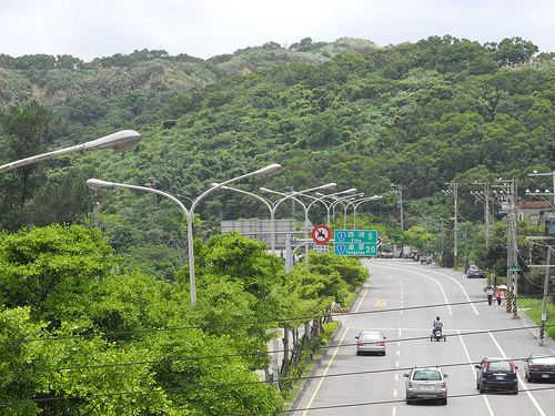 圖中台一線盡頭右側為十班坑開殯葬園區預定地,此地有一小族群的石虎棲息,研究人員建議為石虎設置生態廊道。