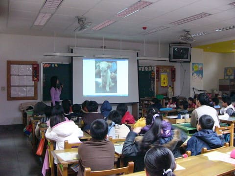 2007年3月,我受邀到新北蘆洲的忠義國小,跟學生們聊聊我經歷過的流浪貓狗故事。(照片提供:譚可欣老師)